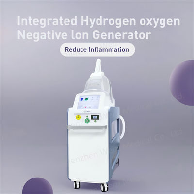 Good price Inalatore di idrogeno ossigeno a ioni negativi 220Volt in linea