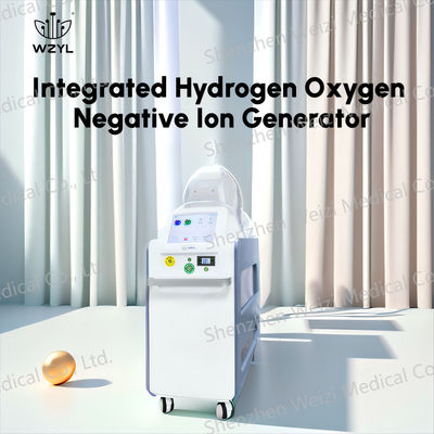Good price 7L/min Clinica Ion Negativo Idrogeno Ossigeno Inalatore 1000W Migliora la circolazione sanguigna in linea