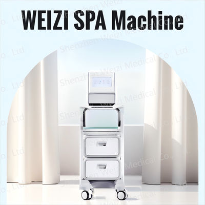 Good price Macchina SPA ad idrogeno di acqua alcalina con tecnologia agli ioni negativi in linea