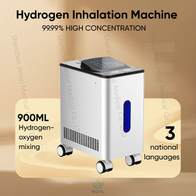 qualità Migliorare la memoria H2 inalatore Hydrogen Therapy Machine per centri di riabilitazione fabbrica