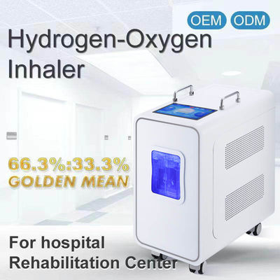 Good price 110v 220v Macchina per la terapia di inalazione di idrogeno PEM a domicilio 3000ml in linea