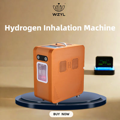 Good price AC220V inalatore di idrogeno ossigeno macchina per l' inalazione di idrogeno 3000ml/M in linea