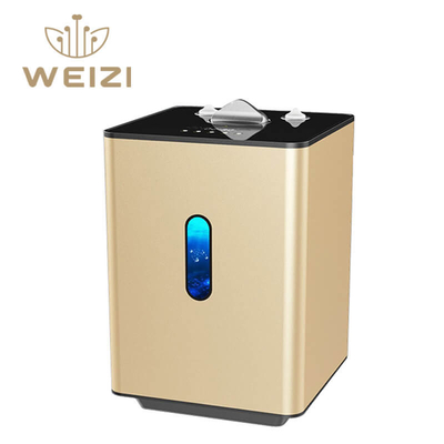 Good price 225 ml/min SPE PEM Hydrogen Inhalation Machine con purezza del 99,992% in linea
